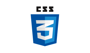 CSS