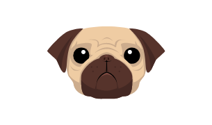 PUG